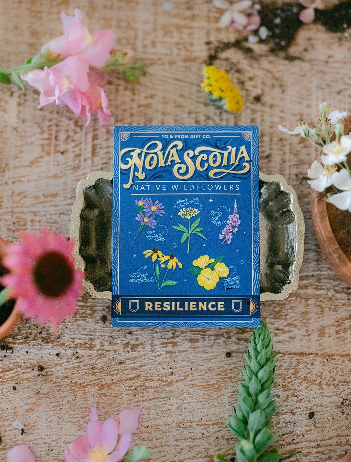 Nova Scotia Native Wildflowers (Resilience) - Seed Packet — To